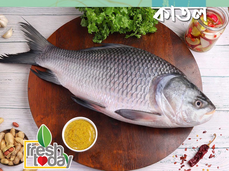 River Katol Fish Whole (Size: 3.5kg)  আস্ত মাছ অর্ডার করে পছন্দ মতো ফ্রি কেটে নিতে পারবেন!