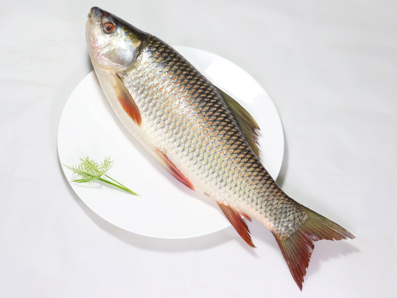 Deshi Rui Fish Whole (Size: 1kg)  আস্ত মাছ অর্ডার করে পছন্দ মতো ফ্রি কেটে নিতে পারবেন!