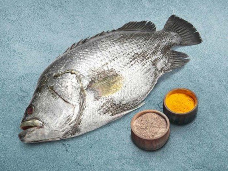 Black Snapper Whole (Size: 1.5kg)