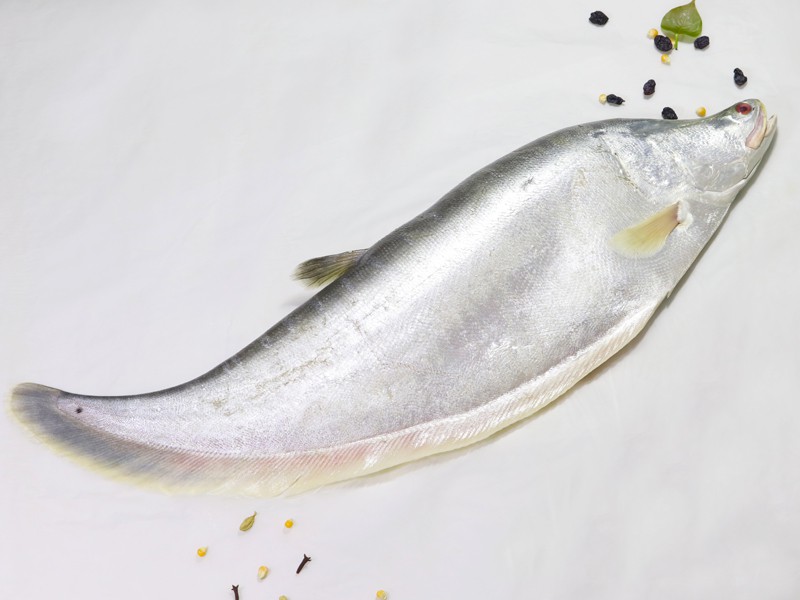 River Chitol Fish Whole (Size: 1kg)